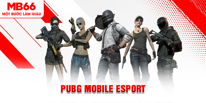 rick vip gà chọi c1 mới nhất