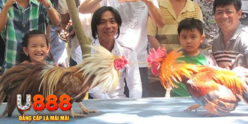 rick vip mơ thấy nổ hũ đánh con gì