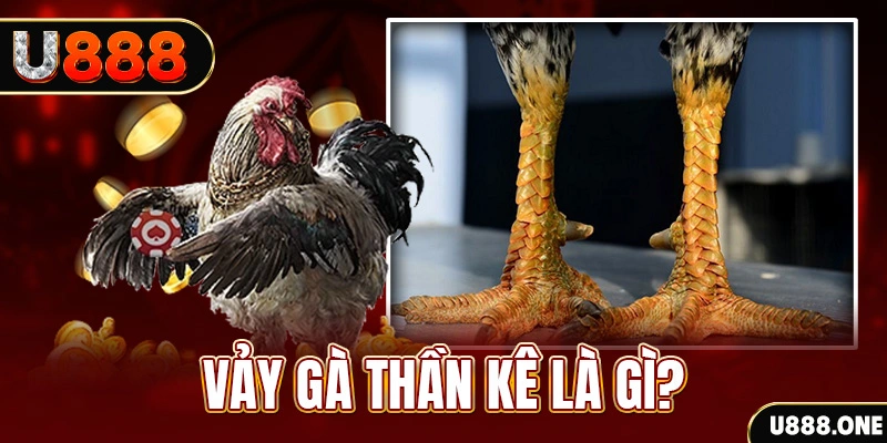 rick vip xổ số miền bắc thứ tư hàng tuần